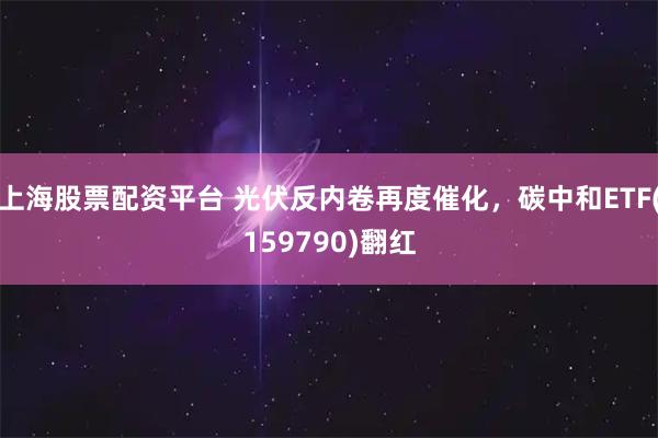 上海股票配资平台 光伏反内卷再度催化,碳中和ETF(159790)翻红