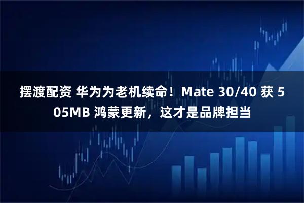 摆渡配资 华为为老机续命!Mate 30/40 获 505MB 鸿蒙更新,这才是品牌担当