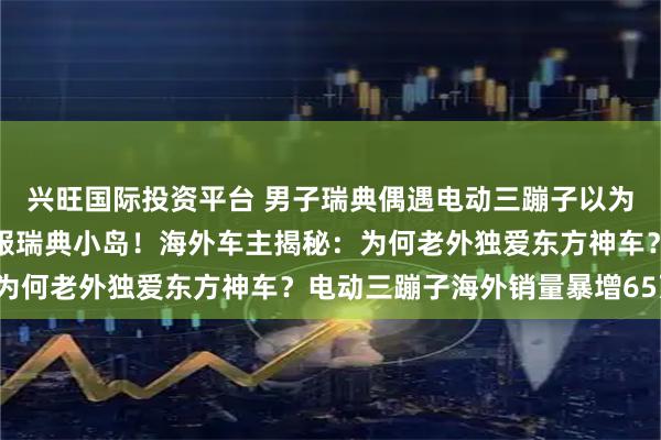 兴旺国际投资平台 男子瑞典偶遇电动三蹦子以为回村了，中国三蹦子征服瑞典小岛！海外车主揭秘：为何老外独爱东方神车？电动三蹦子海外销量暴增65万！
